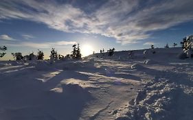 Yllaes Kanerva 105
