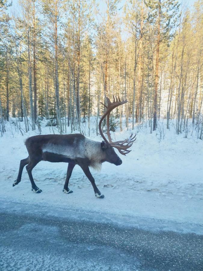Yllaes Kanerva 105 Äkäslompolo Esterno foto